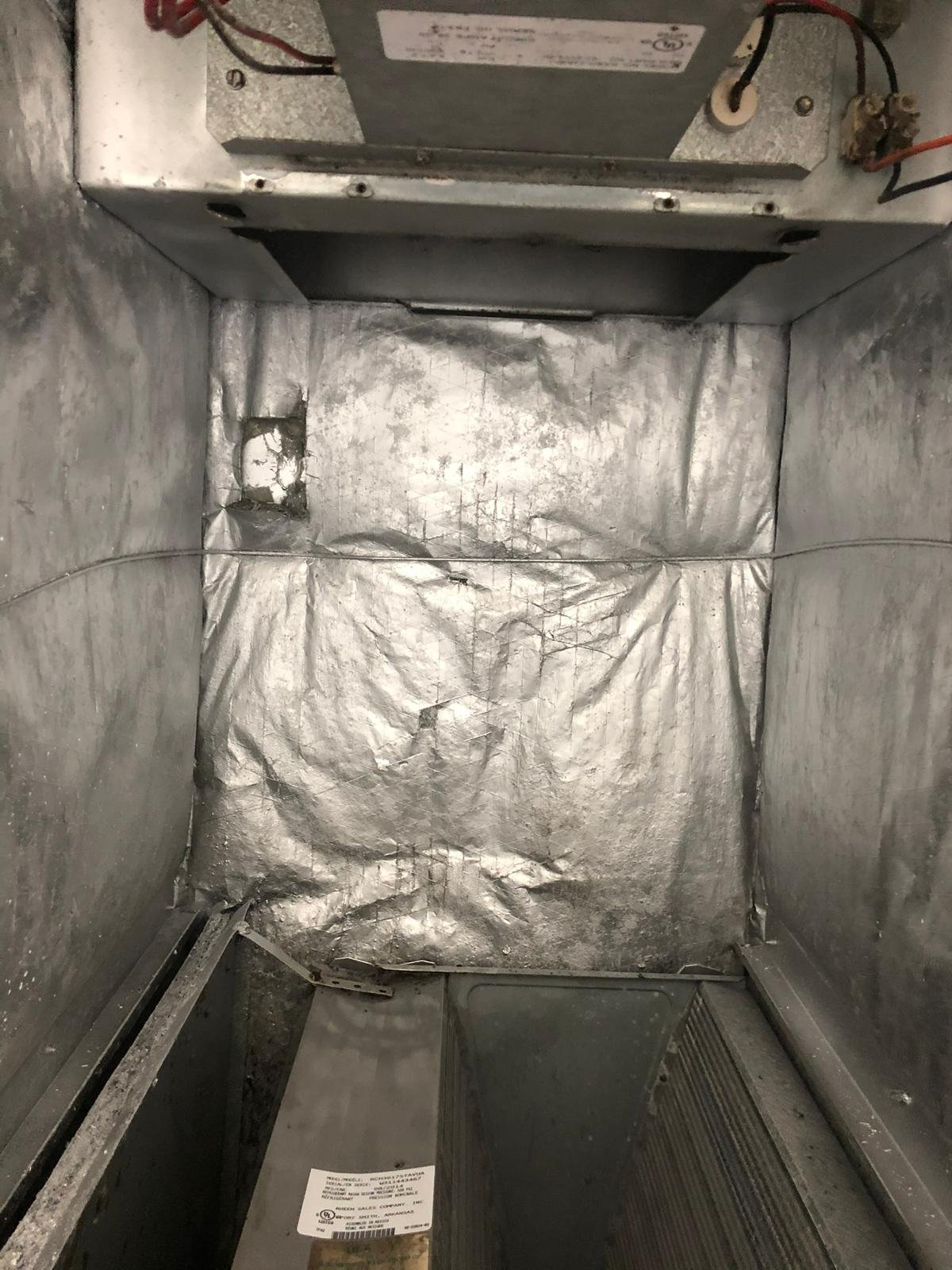 WhatsApp Image 2025-07-26 at 10.28.36_04a906e3