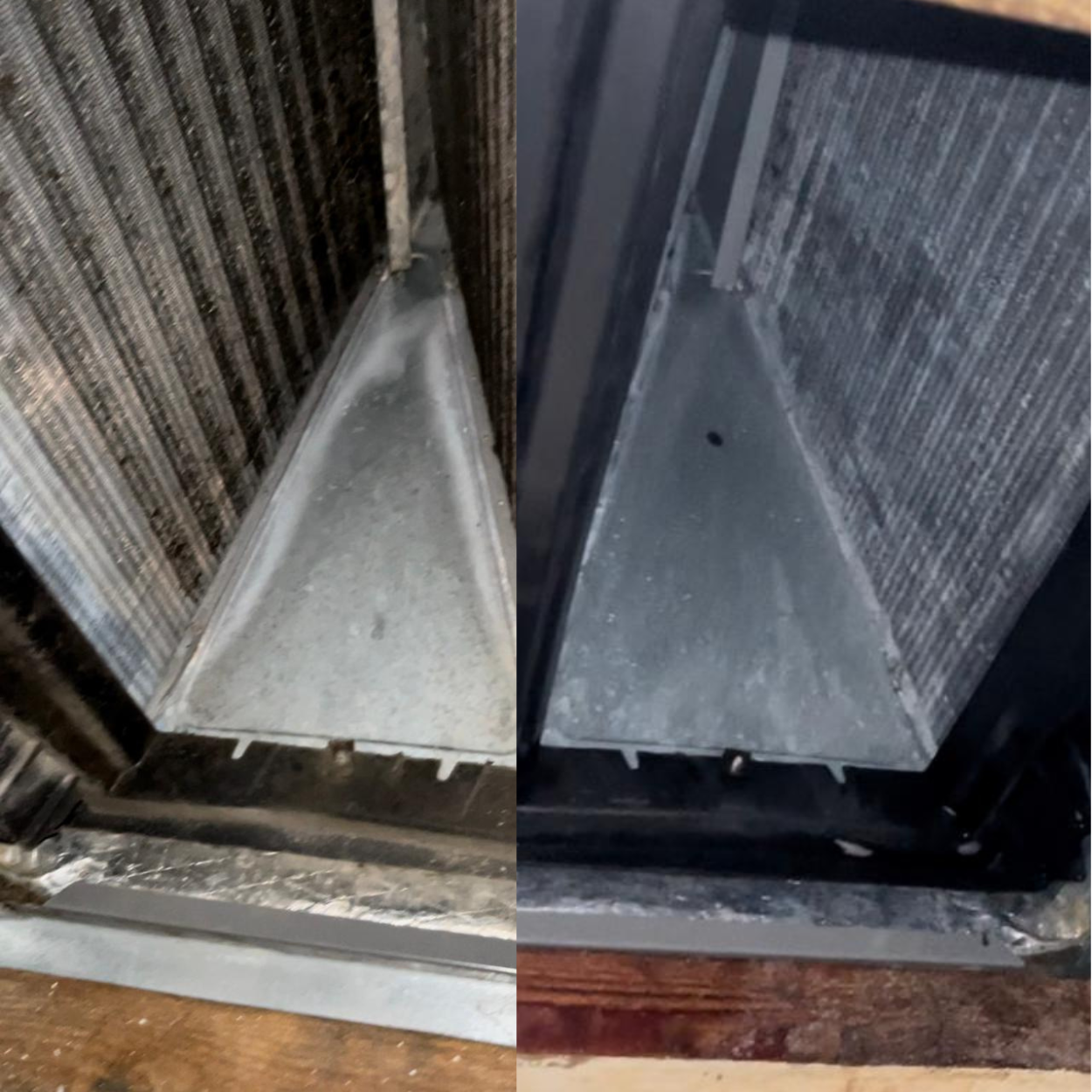 Years without cleaning (3)